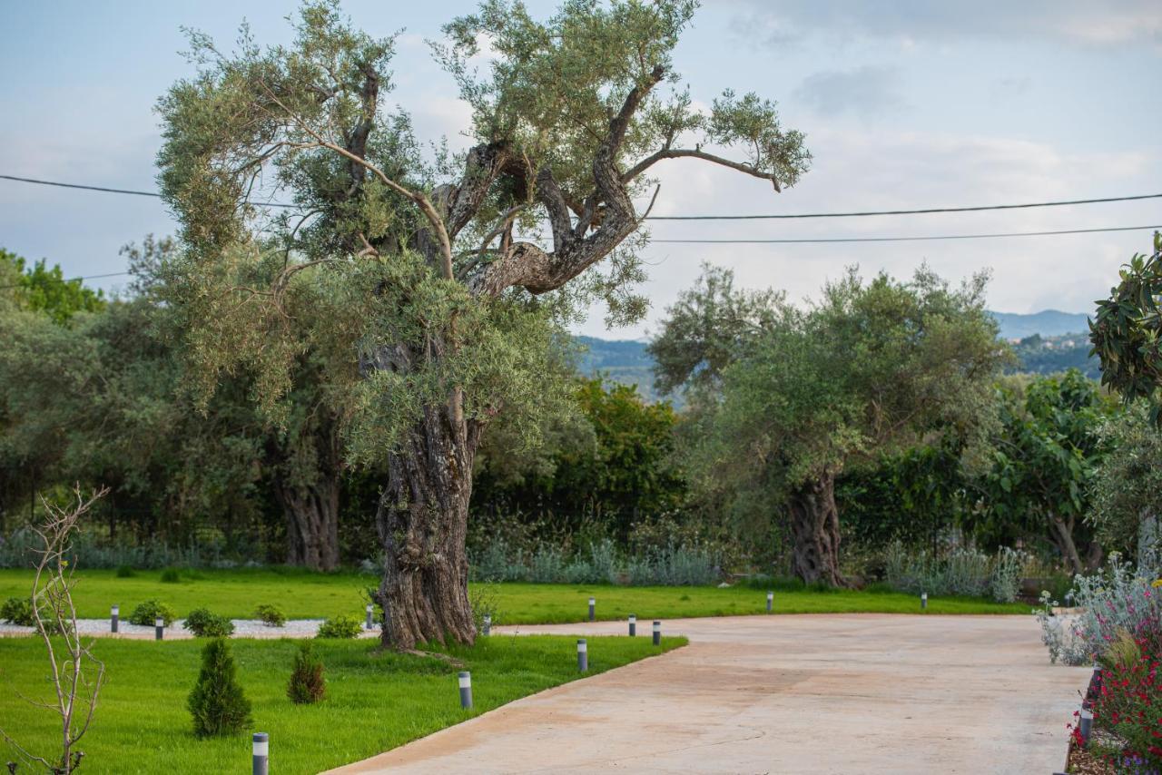 Aerinos Private Villa Lefkáda Buitenkant foto