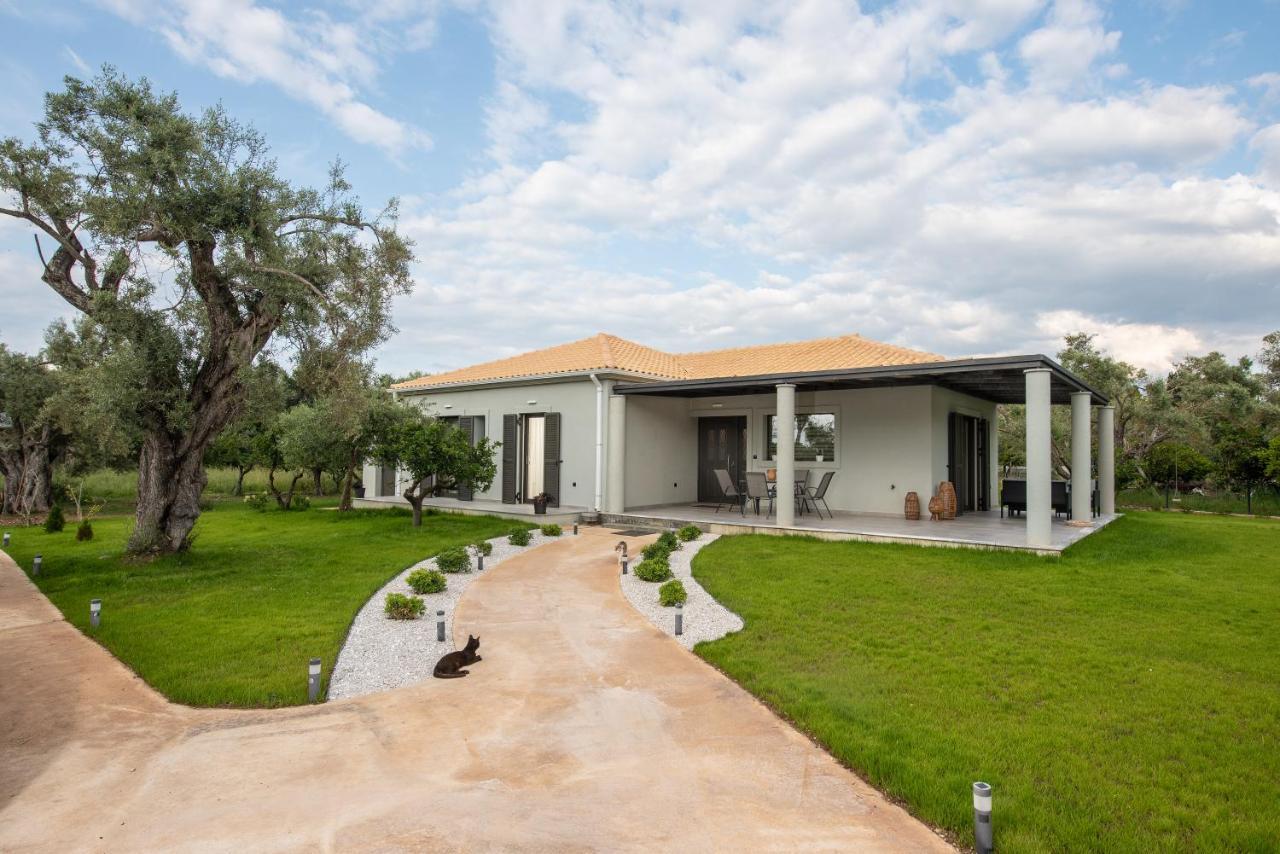 Aerinos Private Villa Lefkáda Buitenkant foto